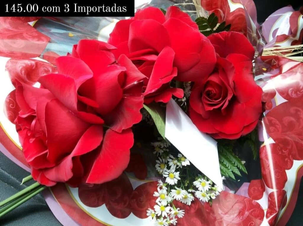 WhatsApp Image 2026-02-22 at 17.50.46 (4)