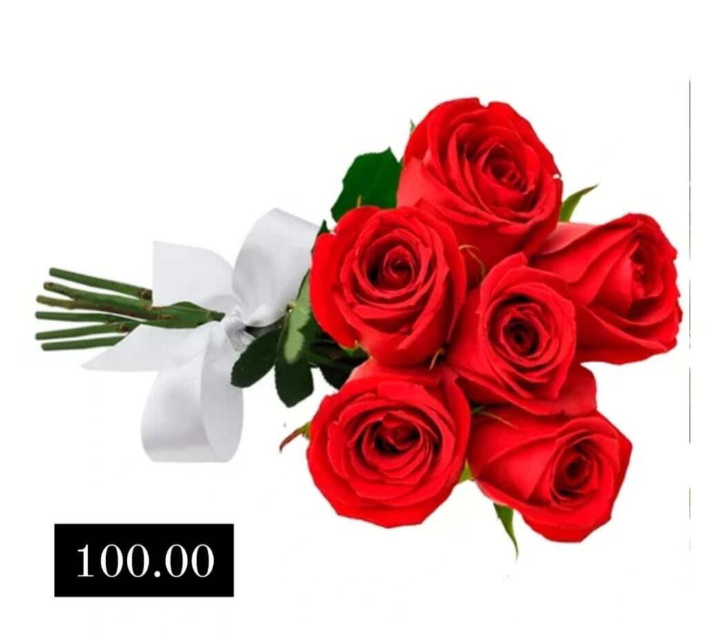 WhatsApp Image 2026-02-22 at 17.50.51 (3)